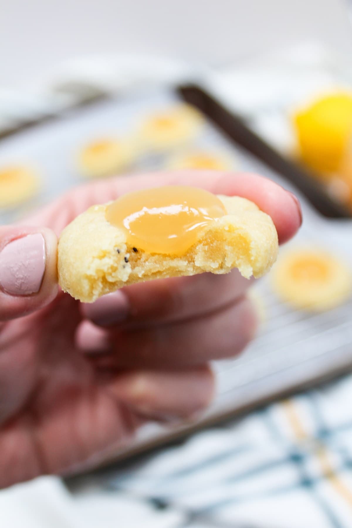 lemon poppy seed cookies held in hand with a bite