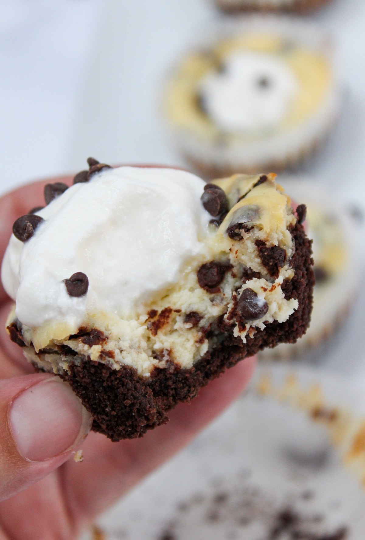mini chocolate chip cheesecake held in hand with a bite taken