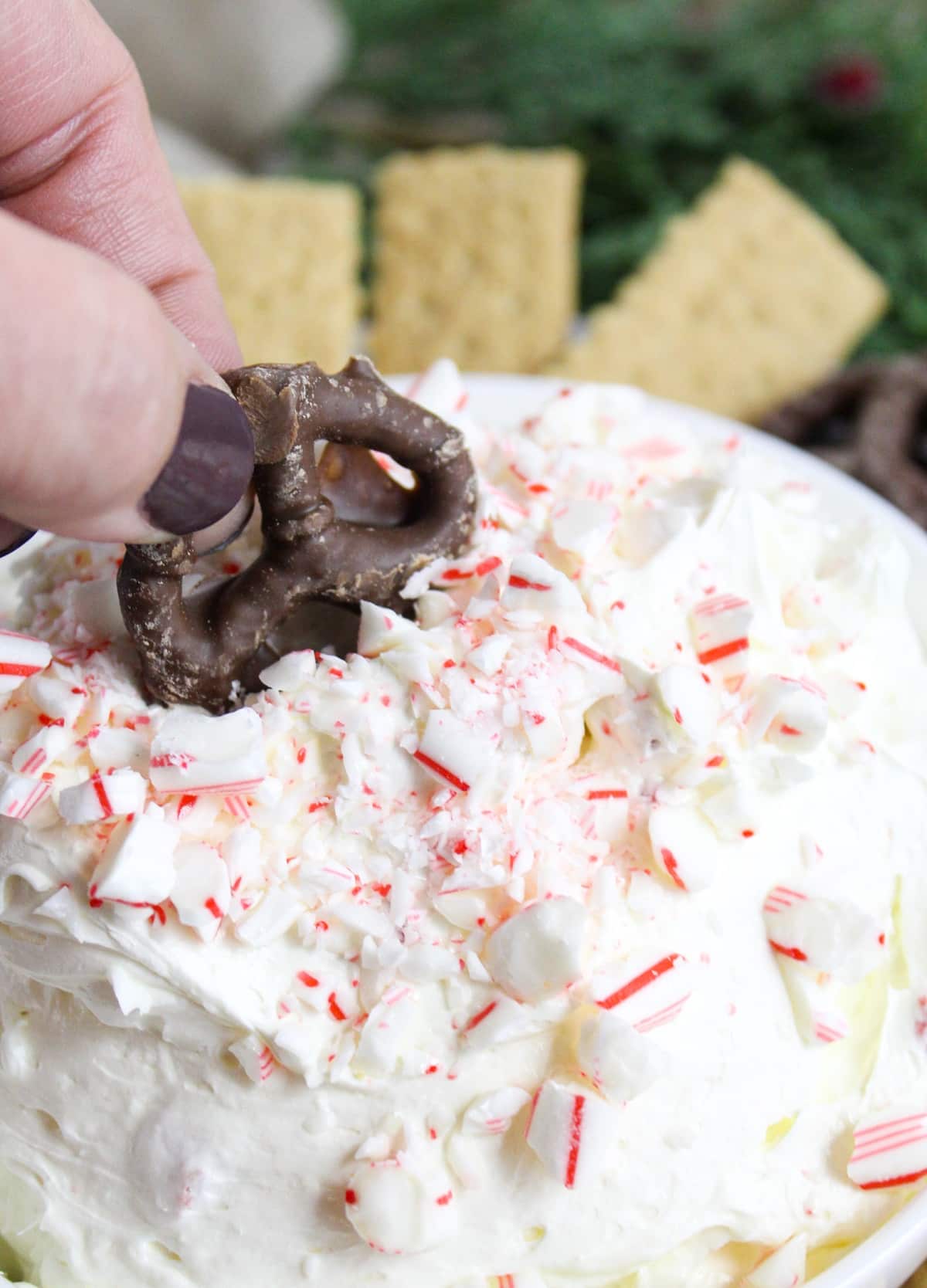 creamy white dip in a white bowl topped with crushed candy canes and surrounded by chocolate covered pretzels. A chocolate pretzel is dipped into the dip.