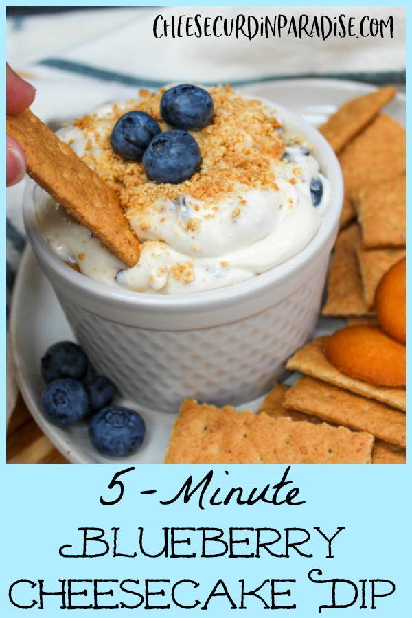 blueberry cheesecake dip with graham crackers