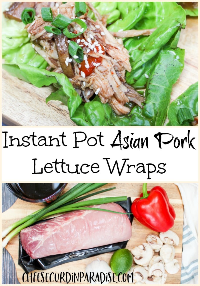 asian pork wrap on top and ingredients on the bottom