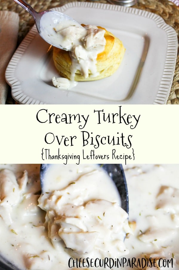 creamed turkey over a biscuit