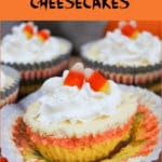 cheesecake with wrapper off and showing yellow orange and white colors