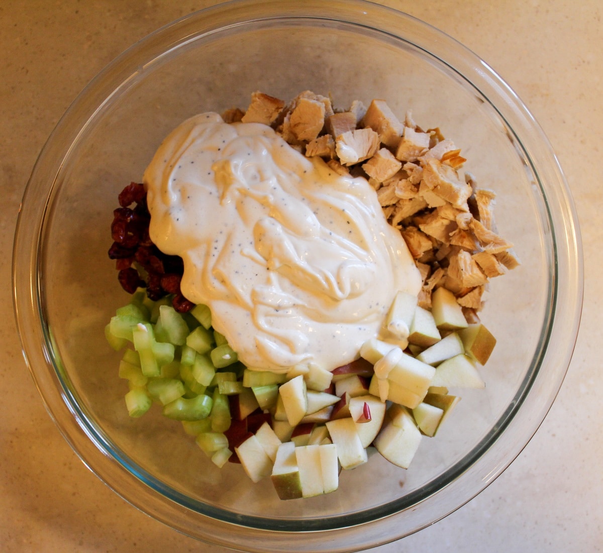 chopped turkey, celery, cranberry, and apple in a bowl with sauce on top