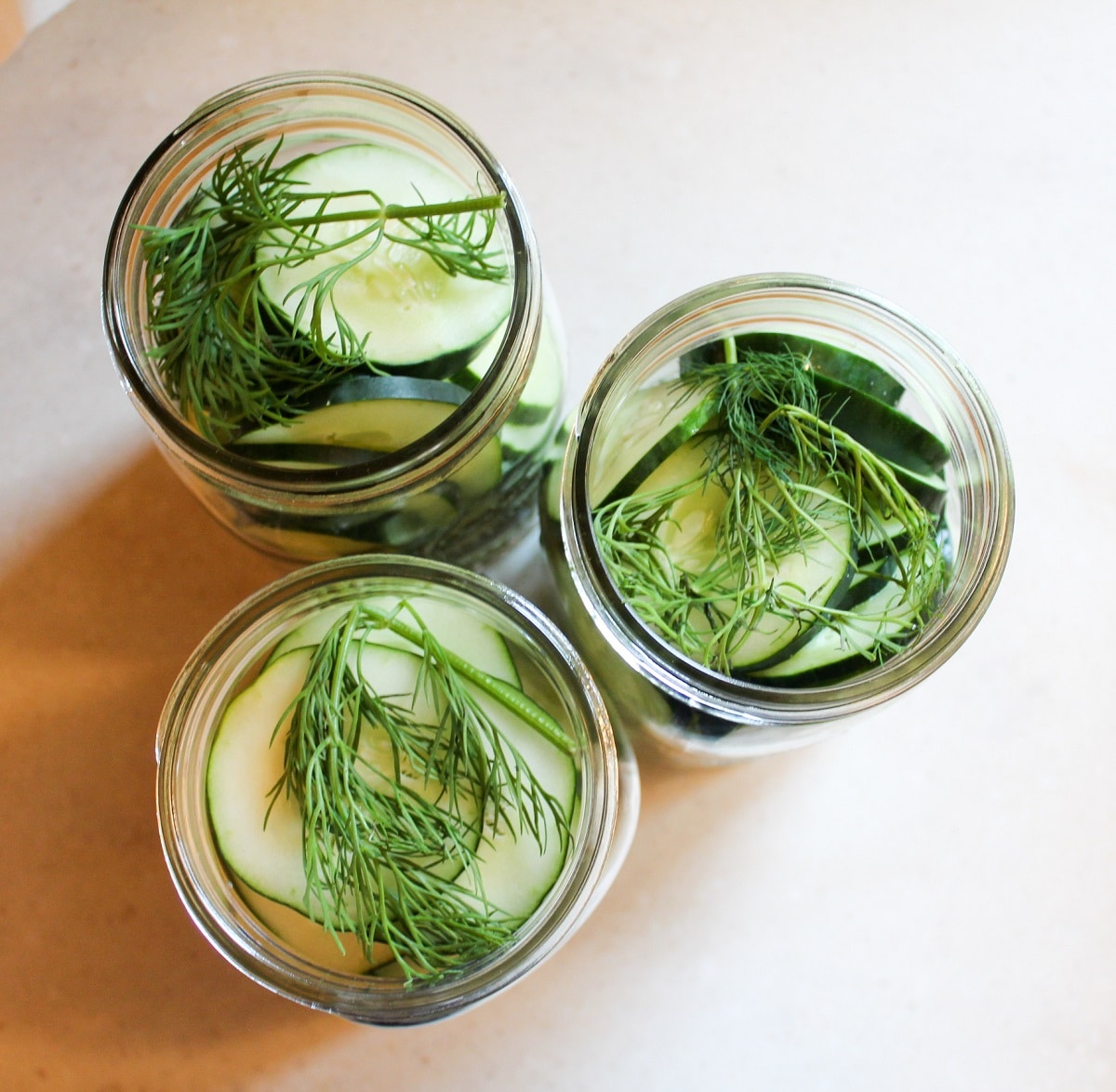 sliced easy refrigerator dill pickles in an unsealed glass jar
