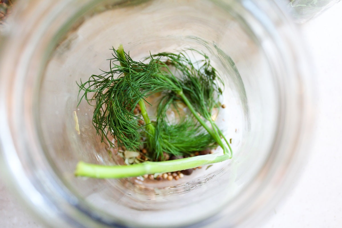 dill and pickling seasoning in jar