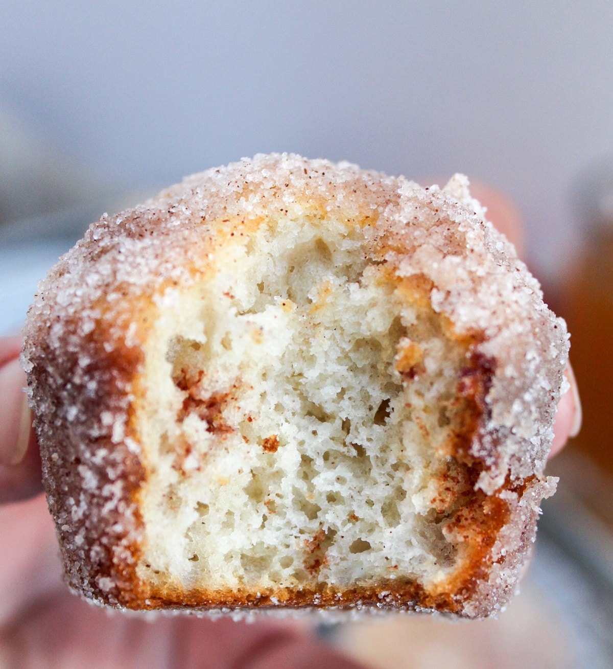 apple cider donut muffin held in hand with a bite taken