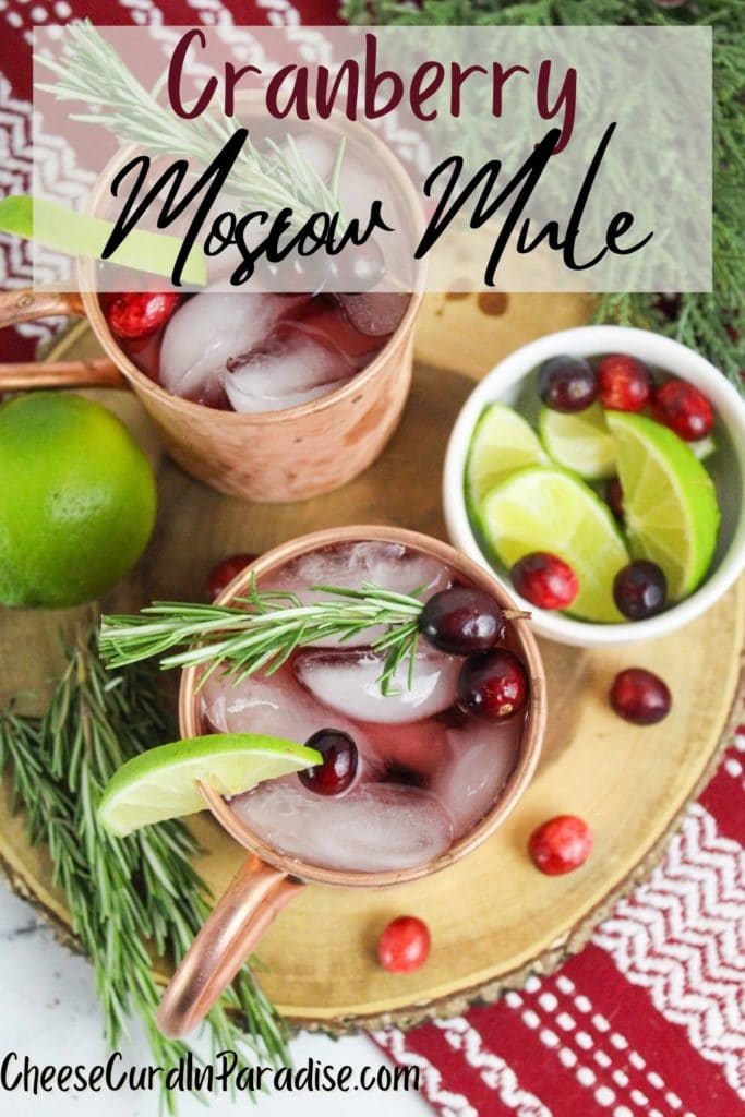 cranberry moscow mule overhead