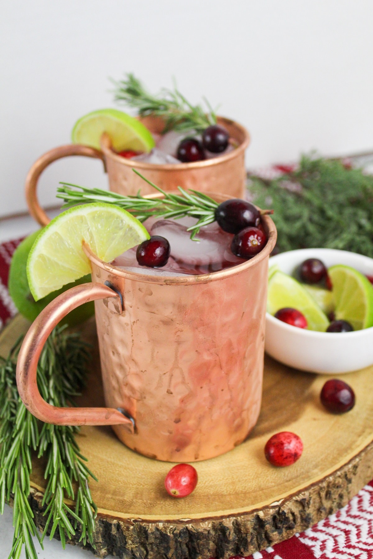 cranberry moscow mule side view