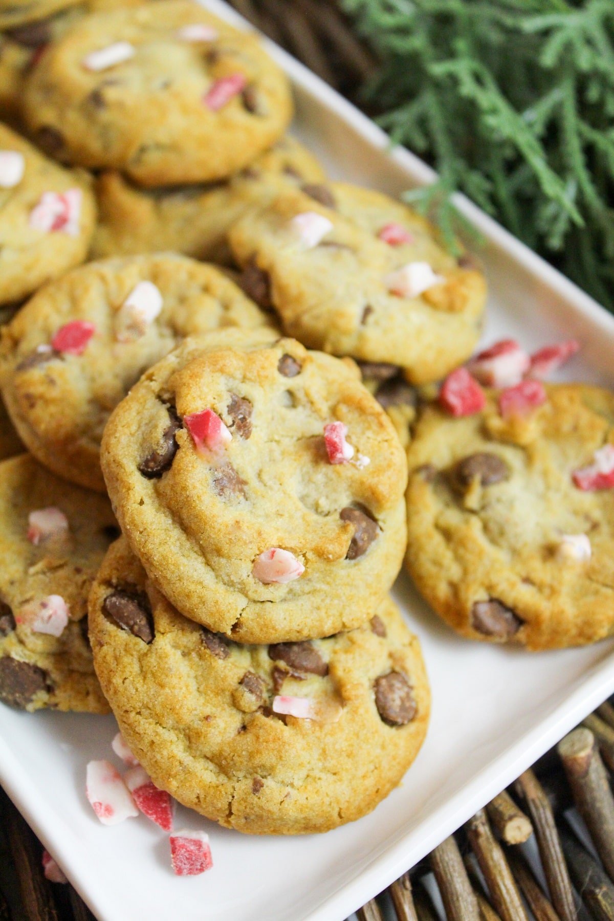 mini chocolate chip cookies with peppermint on a white plate.