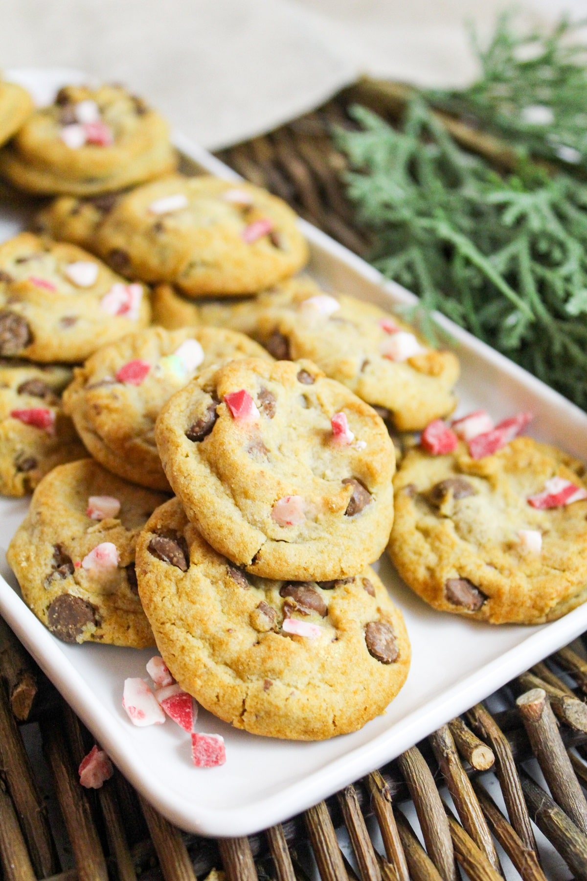 mini chocolate chip cookies with peppermint on a white plate.